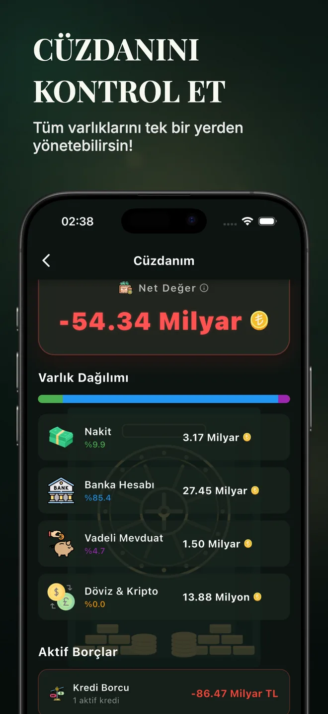 Cüzdan ve varlık dağılımı